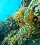 恩納村海浜公園ナビービーチに投稿された画像（2025/10/1）