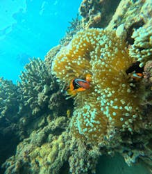 恩納村海浜公園ナビービーチに投稿された画像（2025/10/1）