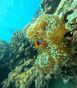 恩納村海浜公園ナビービーチに投稿された画像（2025/10/1）