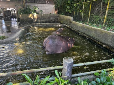 沖縄こどもの国に投稿された画像（2025/10/1）