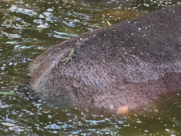 沖縄こどもの国に投稿された画像（2025/10/1）