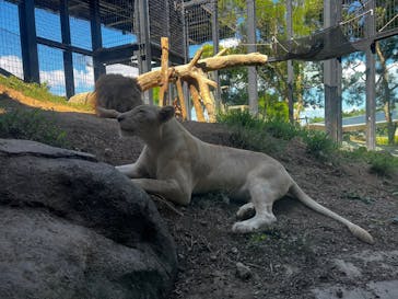 沖縄こどもの国に投稿された画像（2025/10/1）