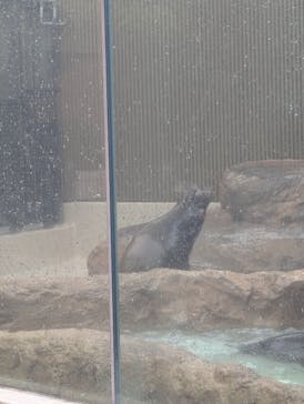 サンシャイン水族館に投稿された画像（2025/10/1）