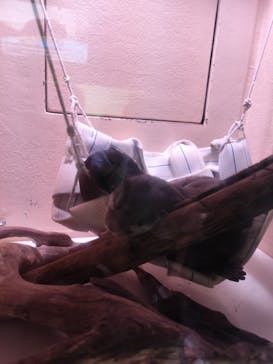 マクセル アクアパーク品川に投稿された画像（2025/10/1）