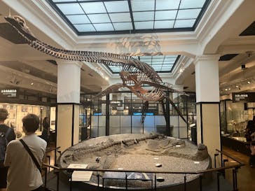 国立科学博物館に投稿された画像（2025/10/1）