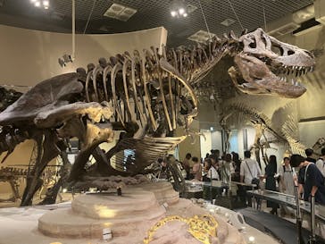 国立科学博物館に投稿された画像（2025/10/1）