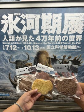 特別展「氷河期展 〜人類が見た4万年前の世界〜」（国立科学博物館）に投稿された画像（2025/10/2）