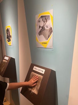 特別展「氷河期展 〜人類が見た4万年前の世界〜」（国立科学博物館）に投稿された画像（2025/10/2）