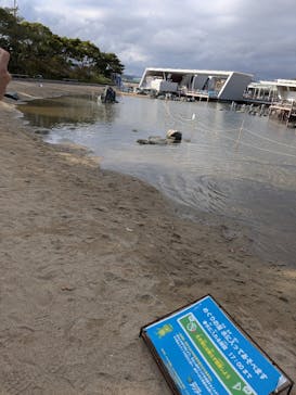 環境水族館アクアマリンふくしまに投稿された画像（2025/10/1）