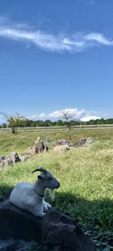 熊谷天然温泉　花湯スパリゾートに投稿された画像（2025/10/2）