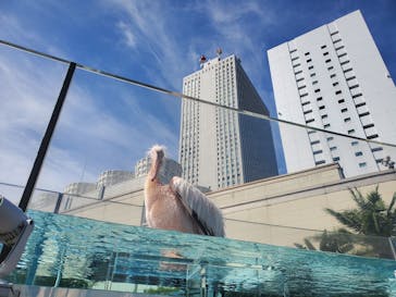 サンシャイン水族館に投稿された画像（2025/10/2）