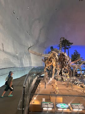 福井県立恐竜博物館に投稿された画像（2025/10/2）