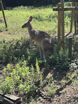 こども動物自然公園（埼玉県公園緑地協会）に投稿された画像（2025/10/2）