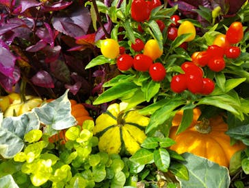 横浜イングリッシュガーデンに投稿された画像（2025/10/2）