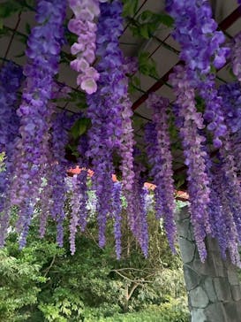 ニジゲンノモリに投稿された画像（2025/10/2）