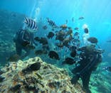 青の洞窟専門店　沖縄ダイビングショップ和に投稿された画像（2025/10/2）