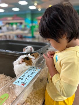 いきもの探検隊上尾に投稿された画像（2025/10/2）