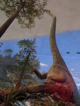 福井県立恐竜博物館に投稿された画像（2025/10/2）