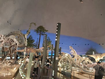 福井県立恐竜博物館に投稿された画像（2025/10/2）