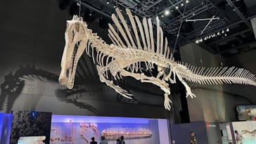 福井県立恐竜博物館に投稿された画像（2025/10/2）