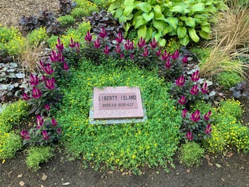 ノーザンホースパークに投稿された画像（2025/10/2）