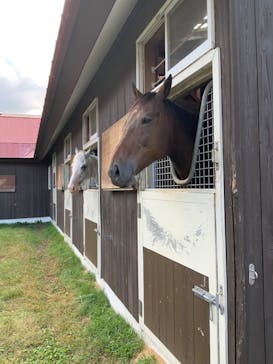 ノーザンホースパークに投稿された画像（2025/10/2）