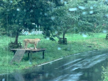 東京動物園協会_多摩動物公園に投稿された画像（2025/10/2）