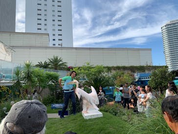 サンシャイン水族館に投稿された画像（2025/10/2）