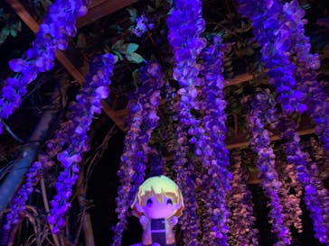 ニジゲンノモリに投稿された画像（2025/10/2）