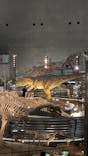 福井県立恐竜博物館に投稿された画像（2025/10/2）
