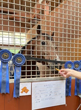 ノーザンホースパークに投稿された画像（2025/10/2）