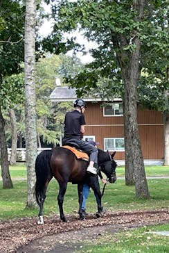 ノーザンホースパークに投稿された画像（2025/10/2）