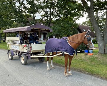 ノーザンホースパークに投稿された画像（2025/10/2）