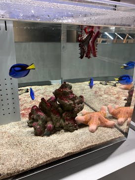 AOAO SAPPOROに投稿された画像（2025/10/2）