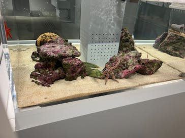 AOAO SAPPOROに投稿された画像（2025/10/2）