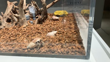 AOAO SAPPOROに投稿された画像（2025/10/2）