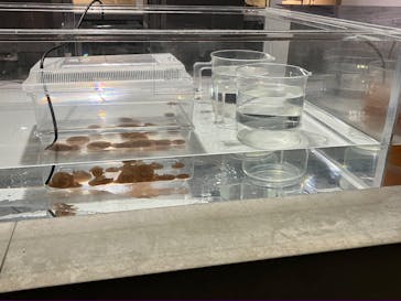 AOAO SAPPOROに投稿された画像（2025/10/2）