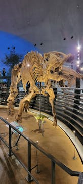 福井県立恐竜博物館に投稿された画像（2025/10/2）