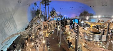 福井県立恐竜博物館に投稿された画像（2025/10/2）