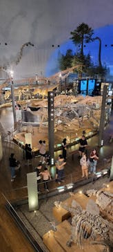 福井県立恐竜博物館に投稿された画像（2025/10/2）