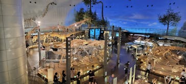 福井県立恐竜博物館に投稿された画像（2025/10/2）