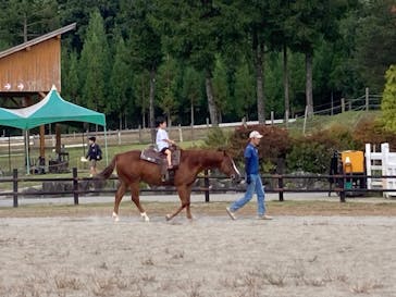 牧歌の里に投稿された画像（2025/10/2）