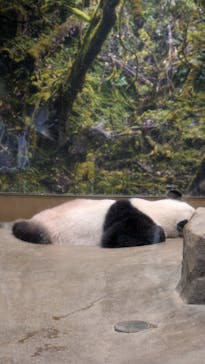 恩賜上野動物園に投稿された画像（2025/10/2）