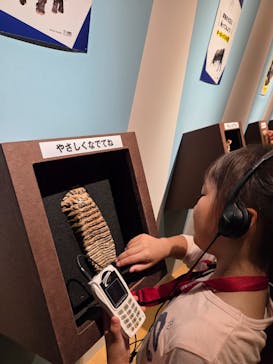 特別展「氷河期展 〜人類が見た4万年前の世界〜」（国立科学博物館）に投稿された画像（2025/10/2）