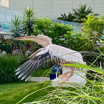 サンシャイン水族館に投稿された画像（2025/10/2）