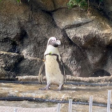 サンシャイン水族館に投稿された画像（2025/10/2）