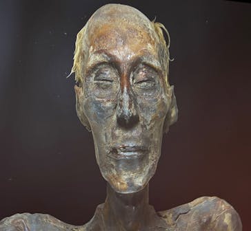 ACN ラムセス大王展 ファラオたちの黄金に投稿された画像（2025/10/2）