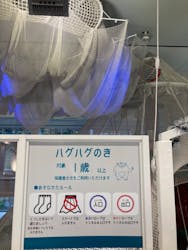 京王れーるランドに投稿された画像（2025/10/2）