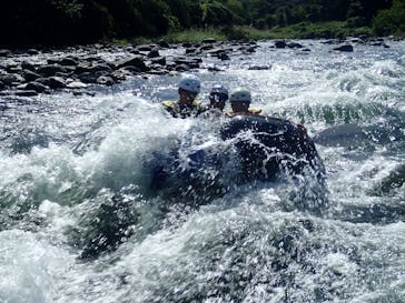 アムスハウス＆フレンズに投稿された画像（2025/10/3）