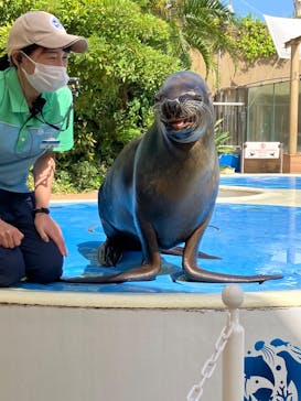 サンシャイン水族館に投稿された画像（2025/10/3）